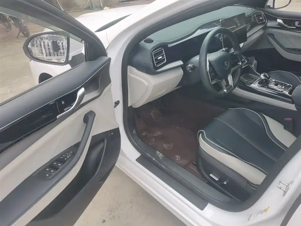 BYD Qin PLUS 2021 EV 500KM Premium Model фото 16