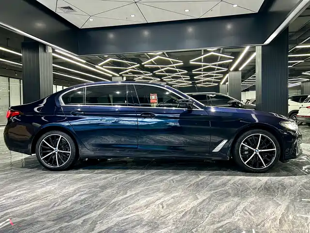 BMW 5 Series 2021 530Li Premium Luxury Package — фото 4
