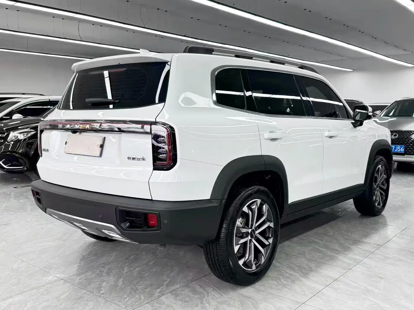 Haval Big Dog 2025 2024 1.5T DCT Border Collie Edition