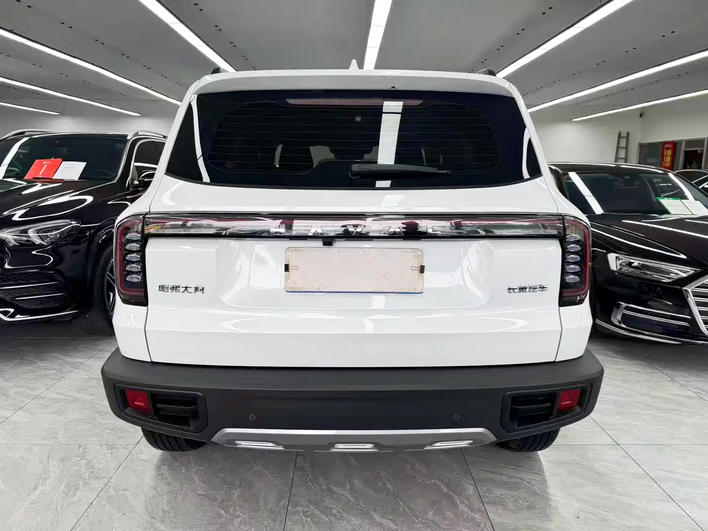 Haval Big Dog 2025 2024 1.5T DCT Border Collie Edition