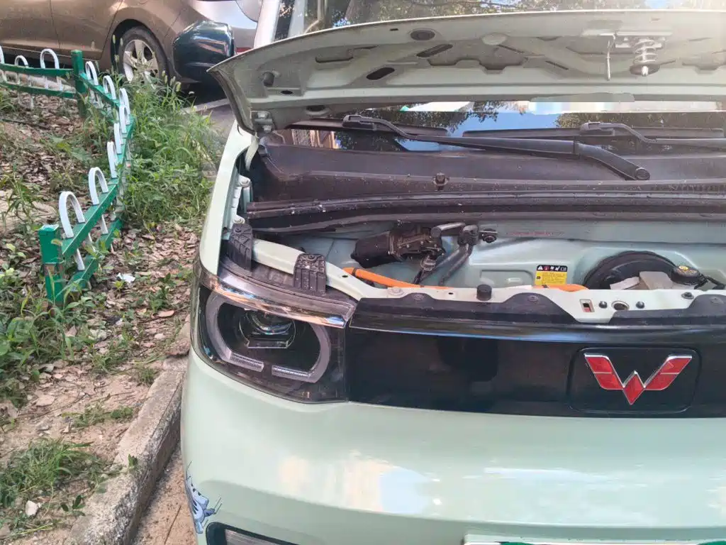 Фото 21 - Wuling Motors Hongguang MINIEV