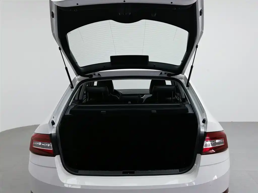 Škoda Octavia 2019 1.5L Automatic Smart Luxury China VI фото 16