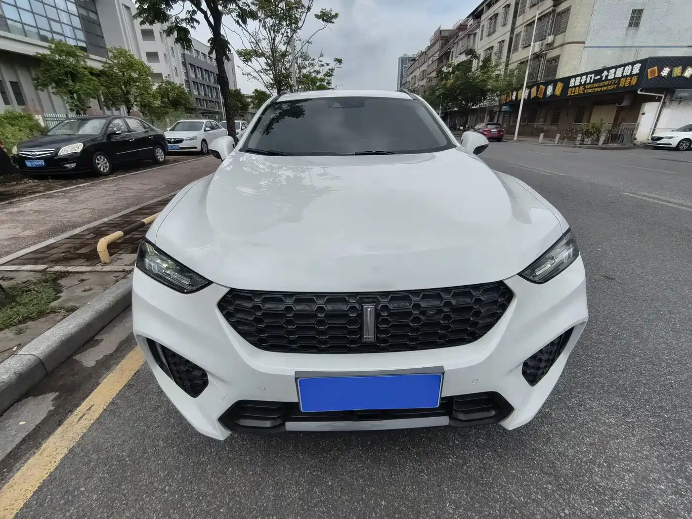 WEY VV7 2017 2017 2.0T Flagship