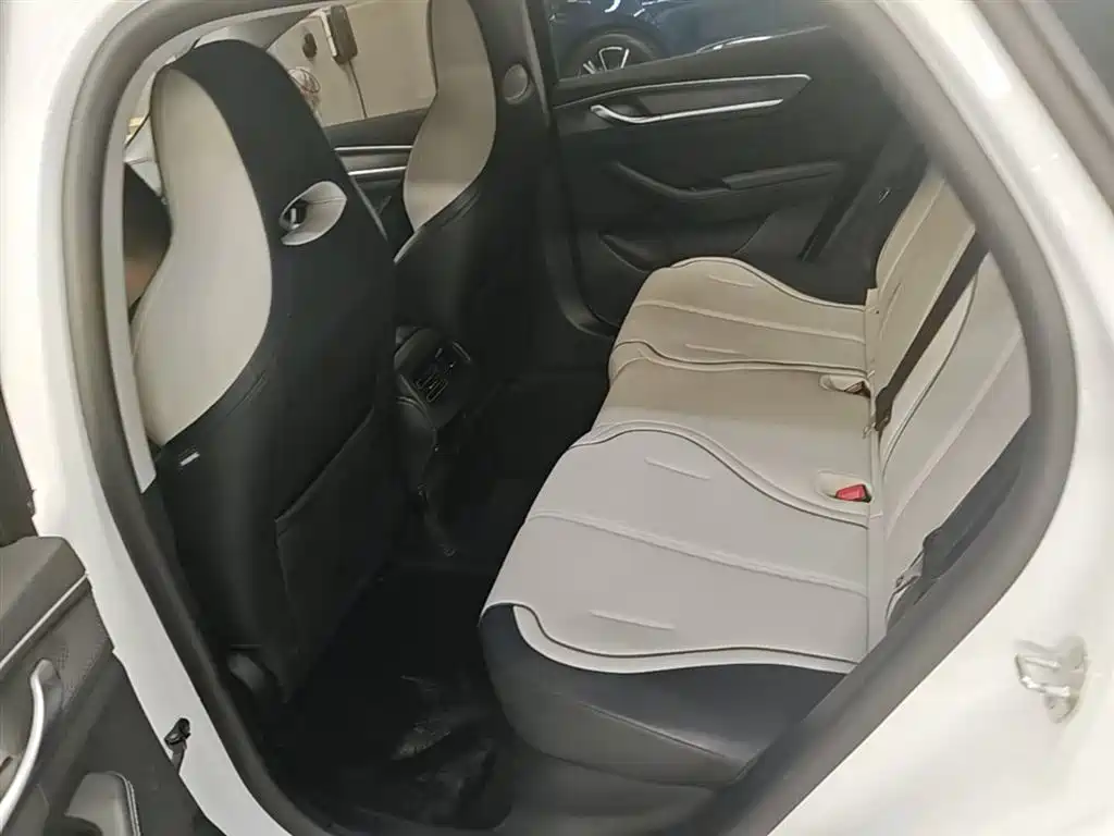 BYD Destroyer 05 2024 Glory Edition DM-i 55KM Luxury фото 17