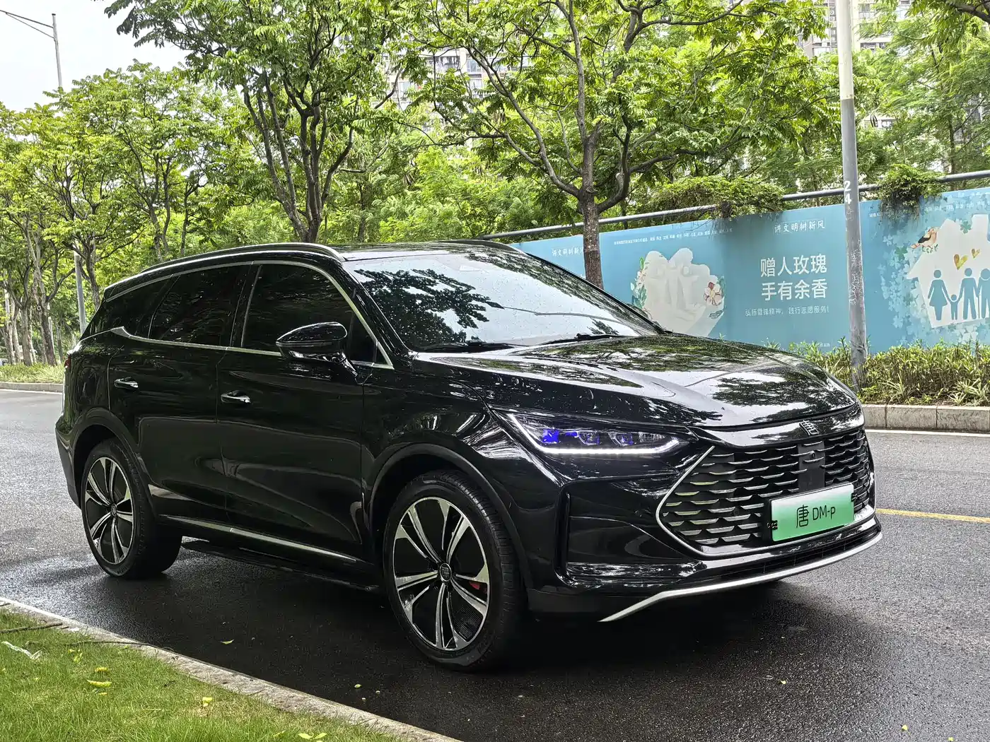 BYD Tang New Energy 2022 DM-p 215KM AWD Executive фото 3
