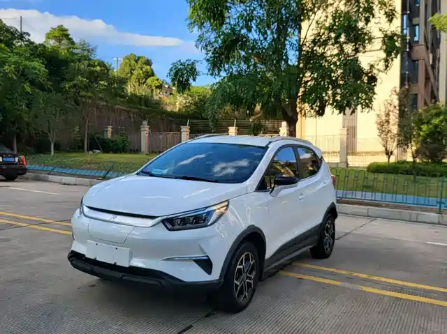  BYD Yuan Pro 2021 Eternal Love Edition