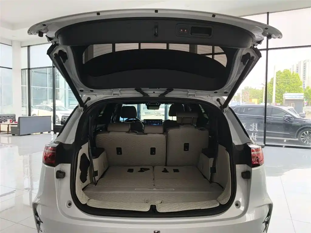 BYD Tang New Energy 2024 DM-i Honor Edition 112KM Premium фото 18