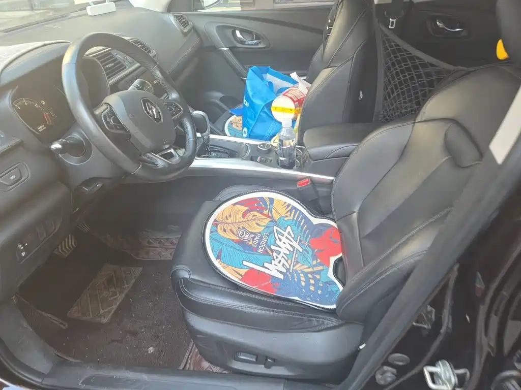 Photo 12 - Renault Kadjar