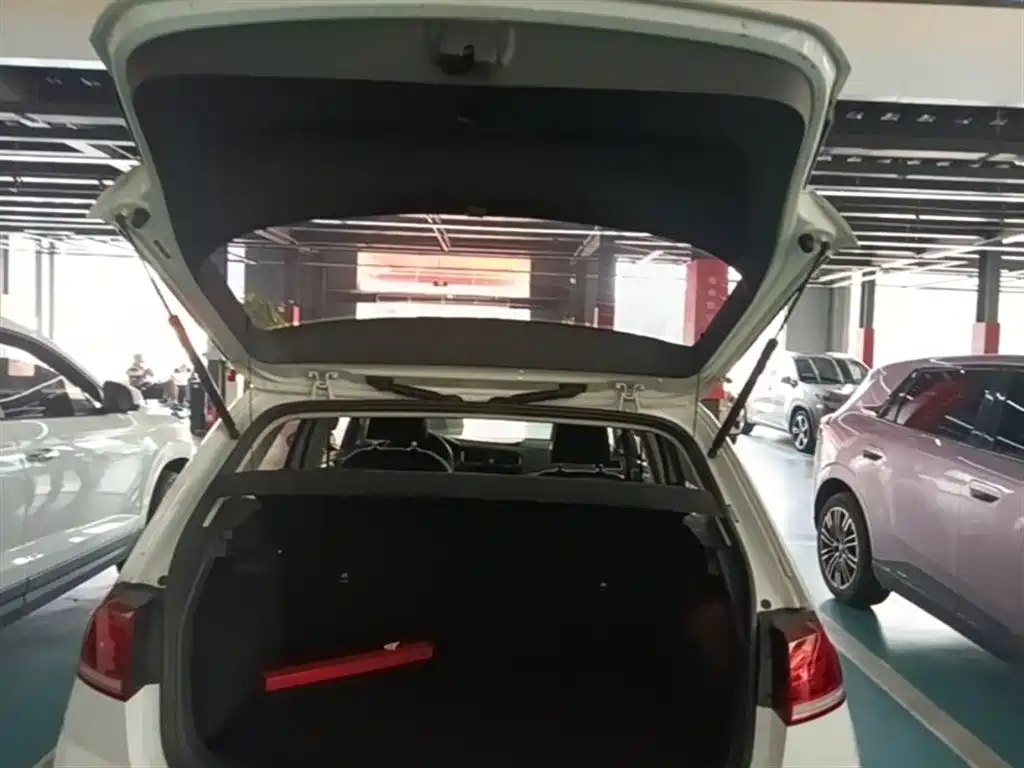 Volkswagen Golf 2019 200TSI DSG Comfort Progressive China VI фото 19