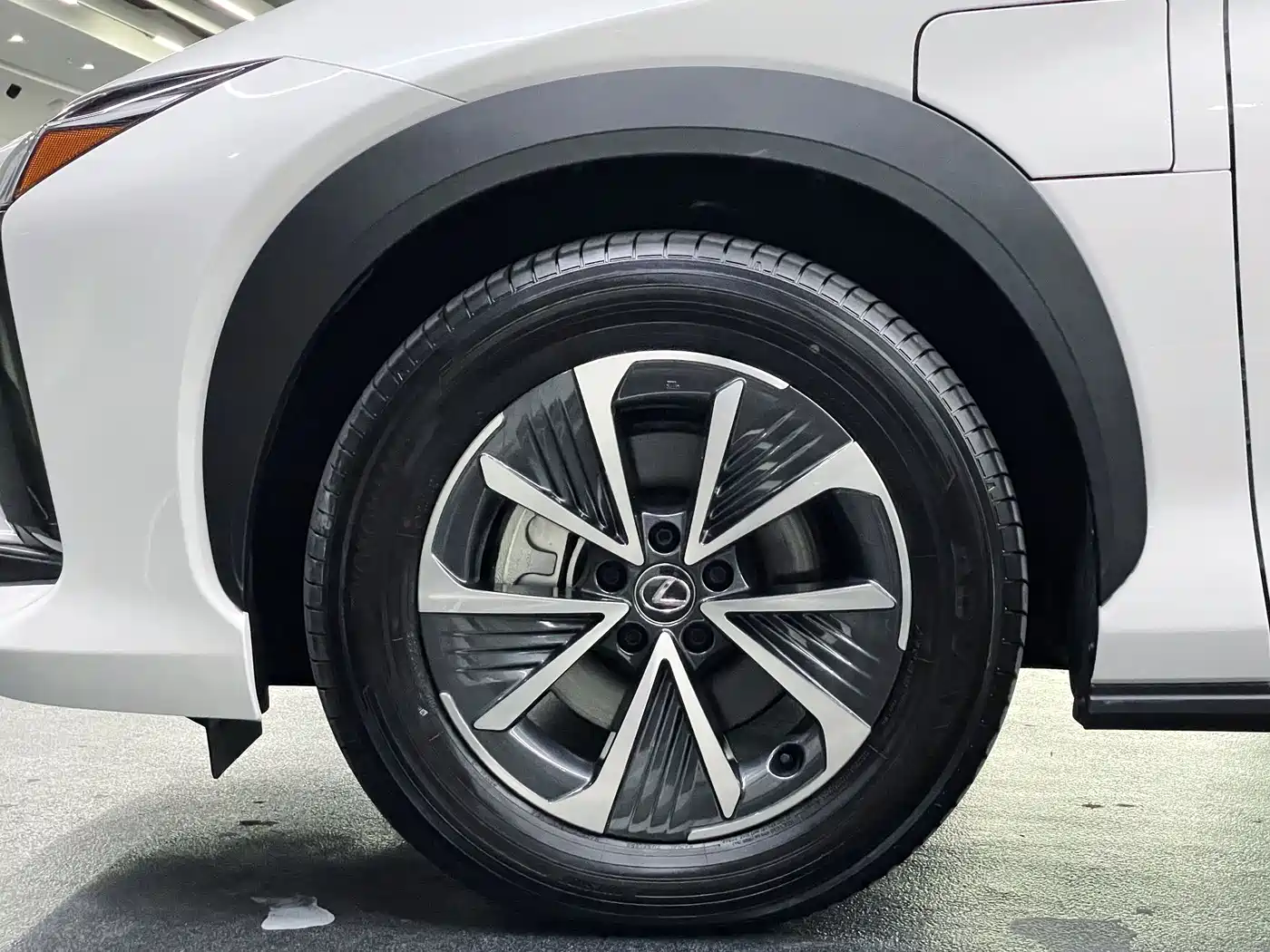 Lexus RZ 2023 450e 4WD Deluxe фото 10