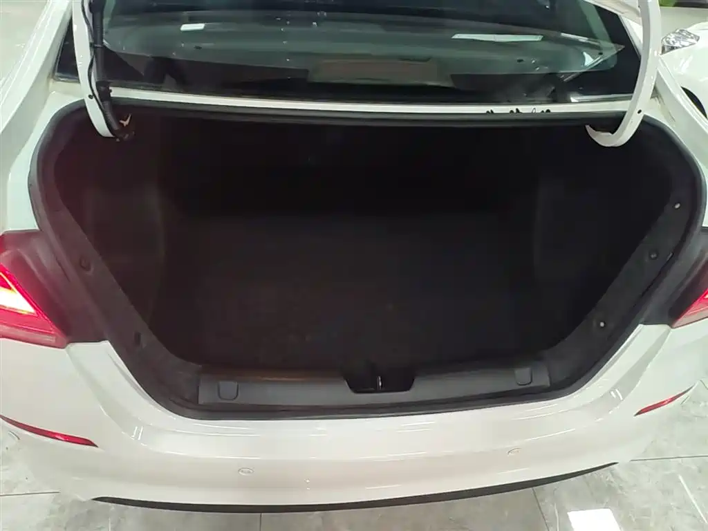 Chevrolet Cavalier 2019 320 Auto Sunroof Enjoyment Edition фото 19