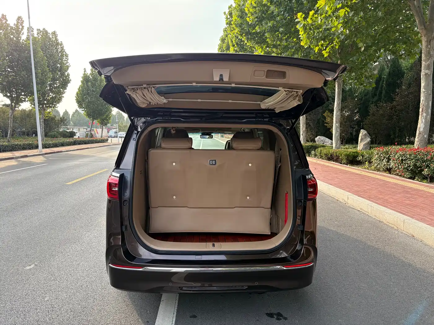 Buick GL8 2021 ES Landlord 653T Premium фото 6