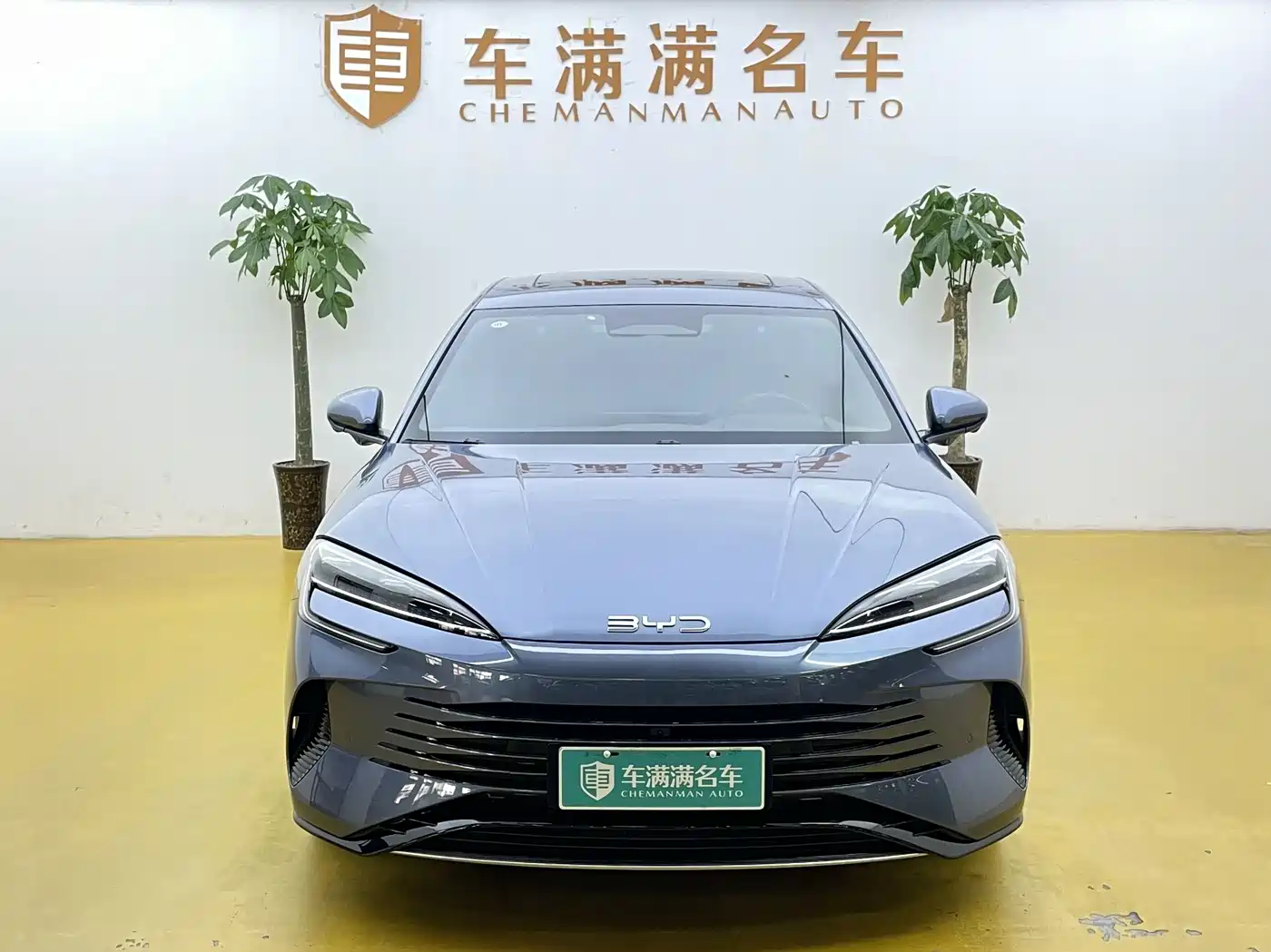 BYD Seal 07 DM-i 2025 Smart Drive Edition DM-i 1.5L 125km Premium фото 2