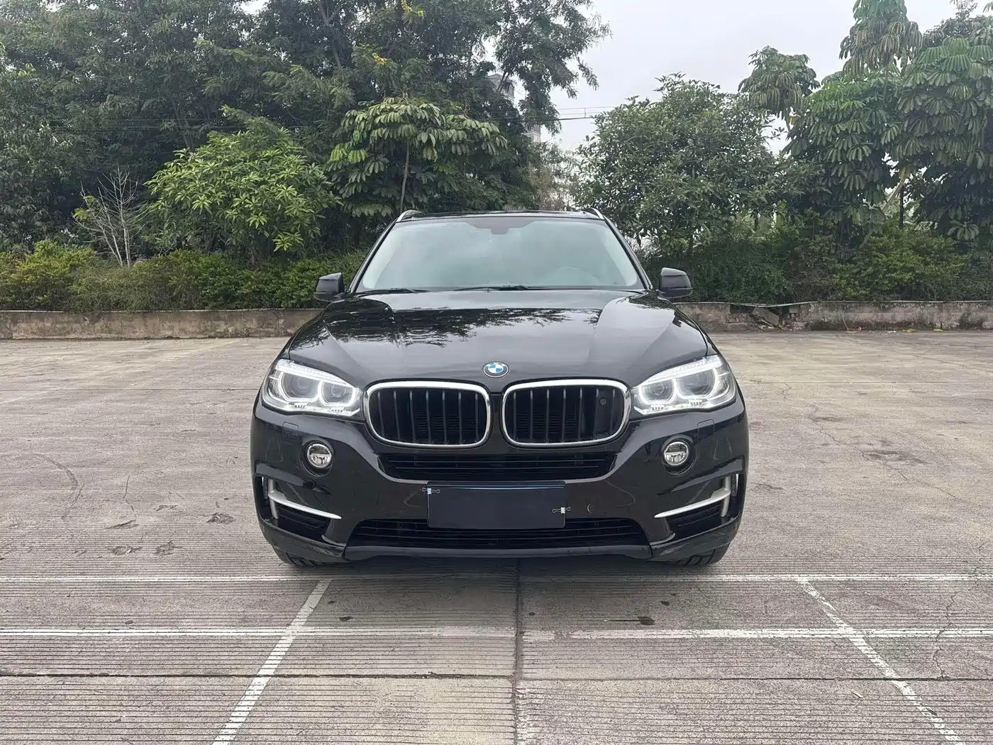 BMW X5 (Import) 2014 xDrive35i Leading фото 2
