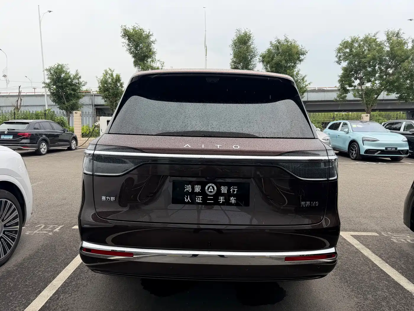 2026 AITO Wenjie AITO M9