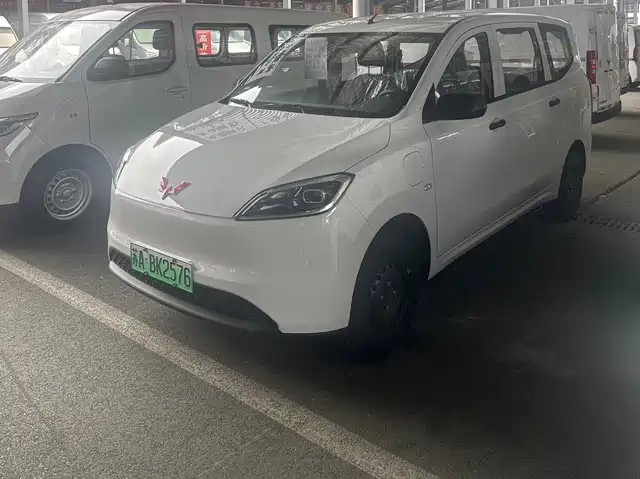  Wuling Motors Wuling Hongguang New Energy 2024 Pure Electric 300KM Standard