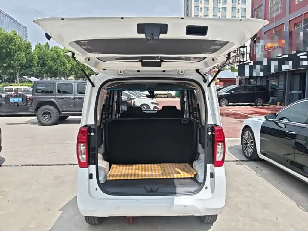 Wuling Motors Wuling Zhiguang NEV 2025 2025 Model 305km Base Version