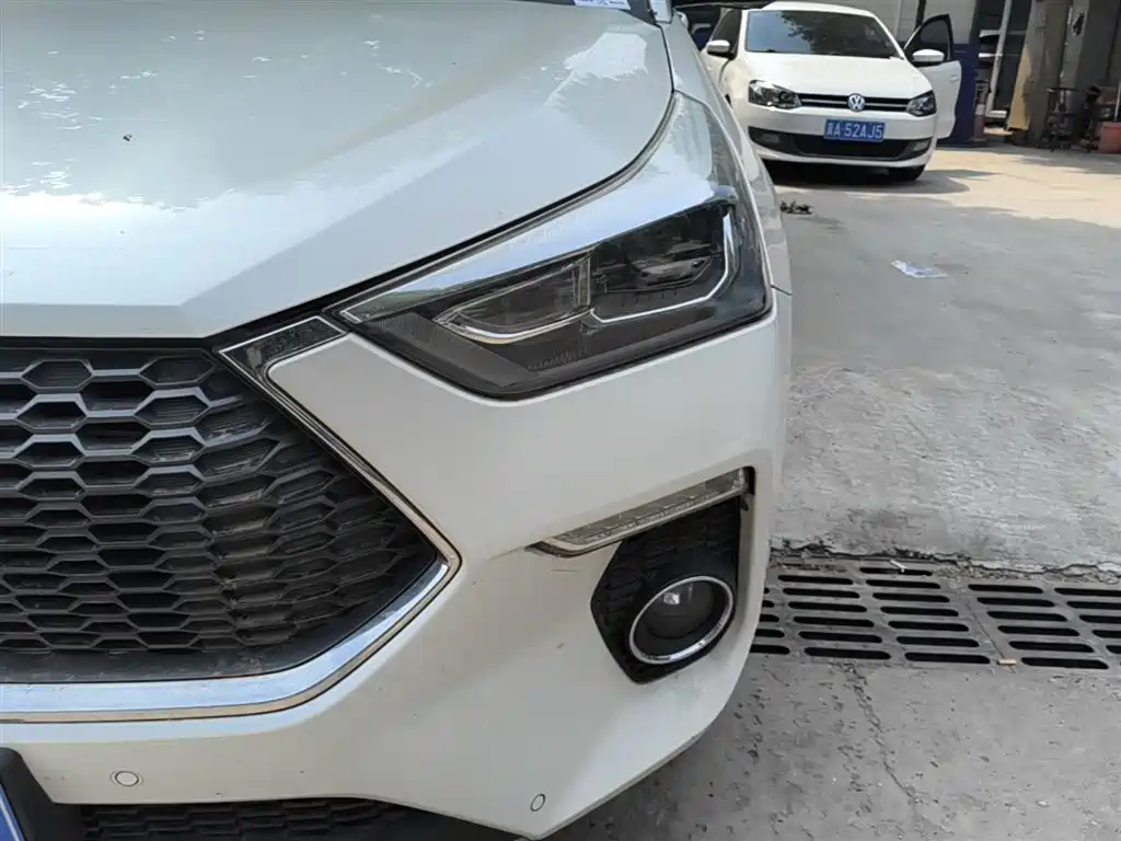 Haval H6 Coupe 2018 Red Label 1.5T Auto 2WD Ultra Luxury фото 24