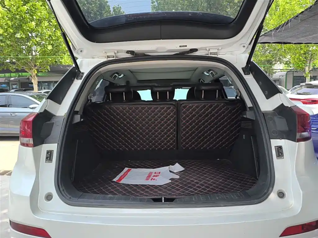 Haval H6 Coupe 2018 Red Label 1.5T Auto 2WD Ultra Luxury фото 19