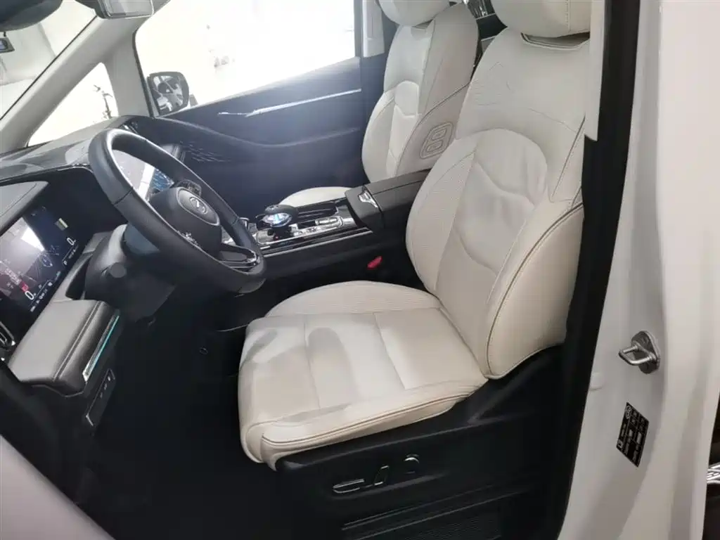 GAC Trumpchi Trumpchi E9 2023 E9 MAX фото 22