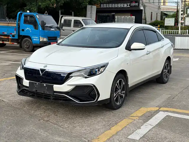  Venucia Venucia D60EV 2020 Standard Range Smart Edition