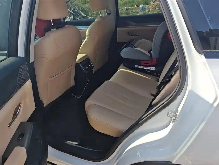 BYD Song Pro New Energy 2025 2nd Gen DM-i 75KM Surpass фото 11