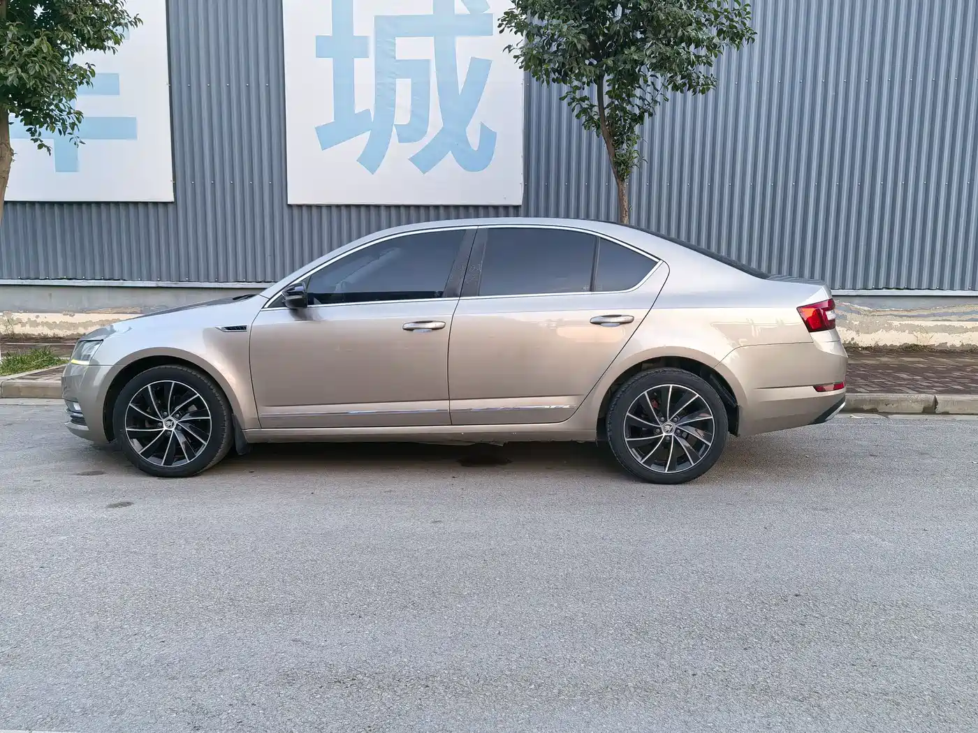 Škoda Octavia 2018 TSI280 DSG Luxury Edition фото 4