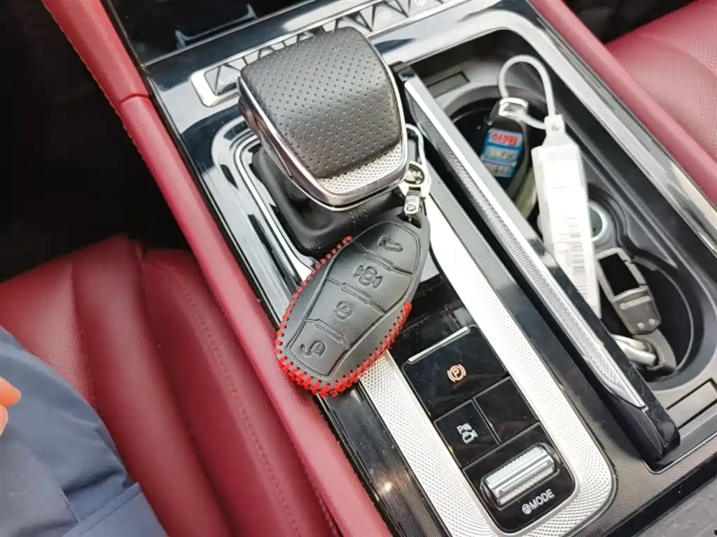 Hongqi H5 2025 2.0T Automatic Flag Celebration 500,000 Units Anniversary Edition фото 9