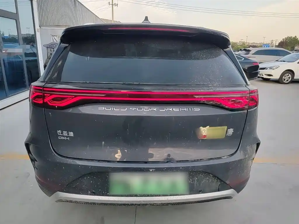 BYD Tang New Energy 2024 DM-i Honor Edition 112KM Premium фото 6