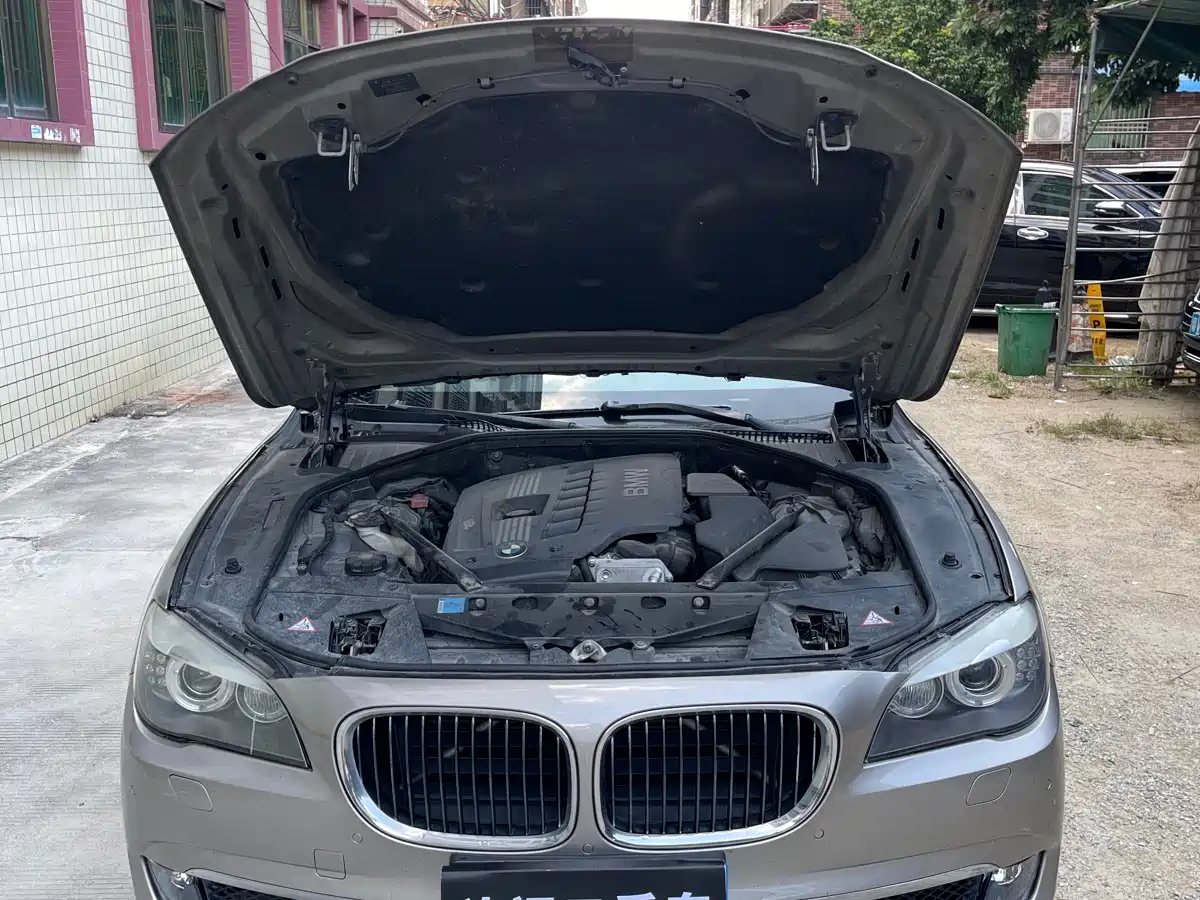 BMW 7 Series 2009 730Li Leading фото 12