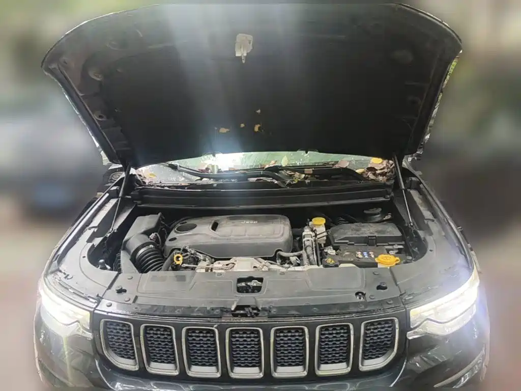 Jeep Grand Commander 2020 2018 2.0T 4WD Joy Edition (China VI)