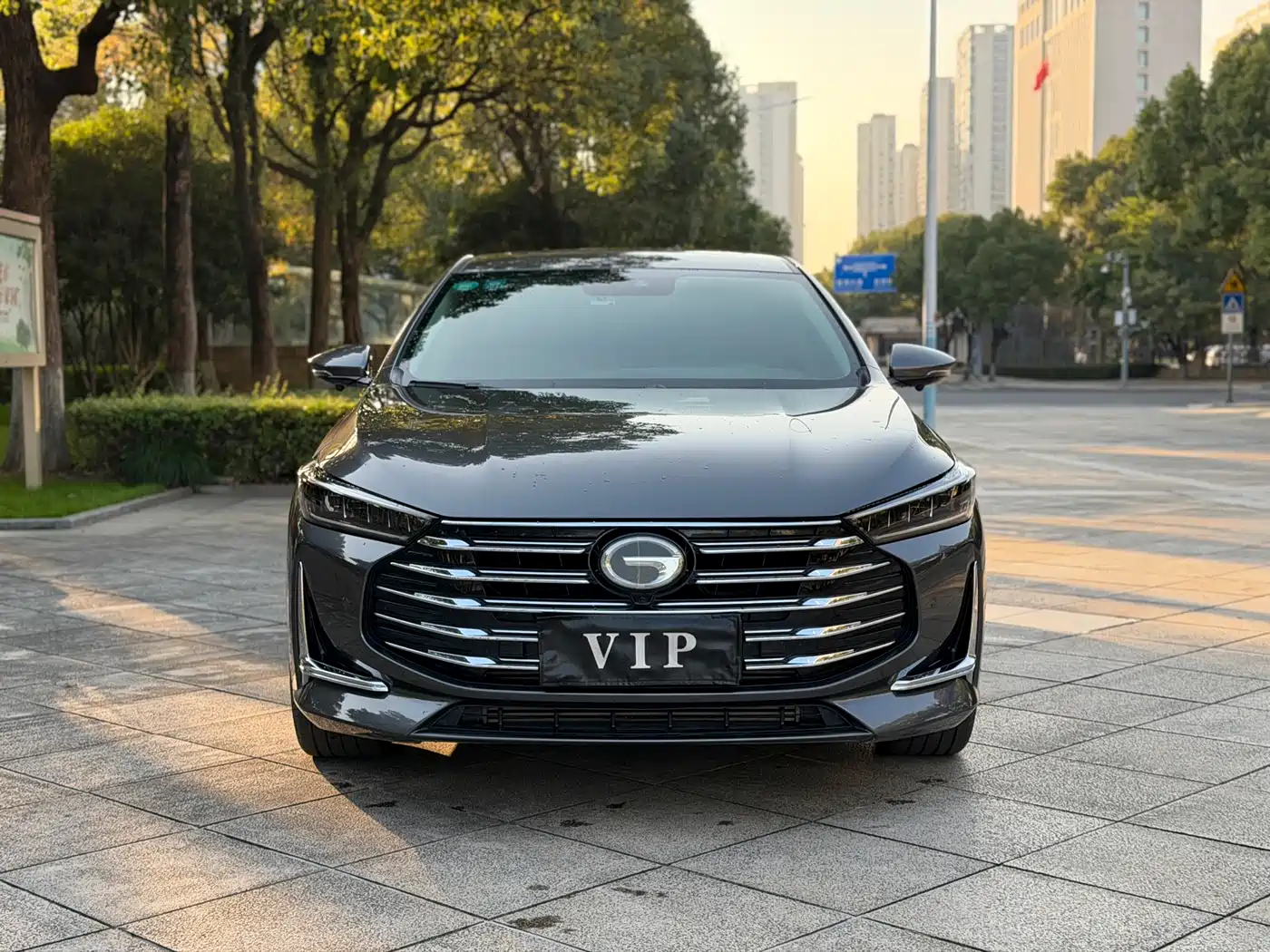 GAC Trumpchi Trumpchi GA8 2020 390T Prestige Edition фото 2