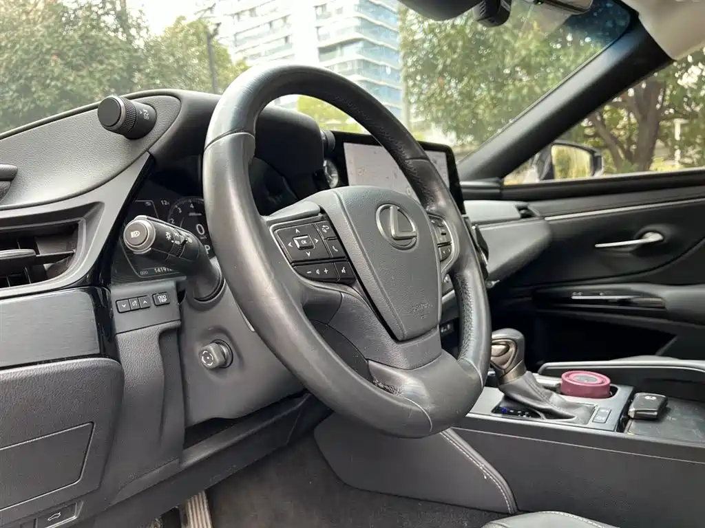 Lexus ES 2024 200 Premium Edition фото 10