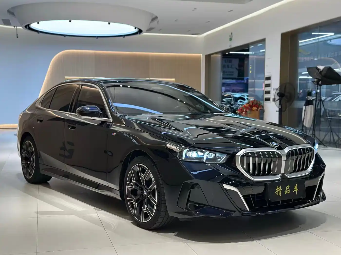 BMW 5 Series 2025 530Li Premium M Sport Package фото 3