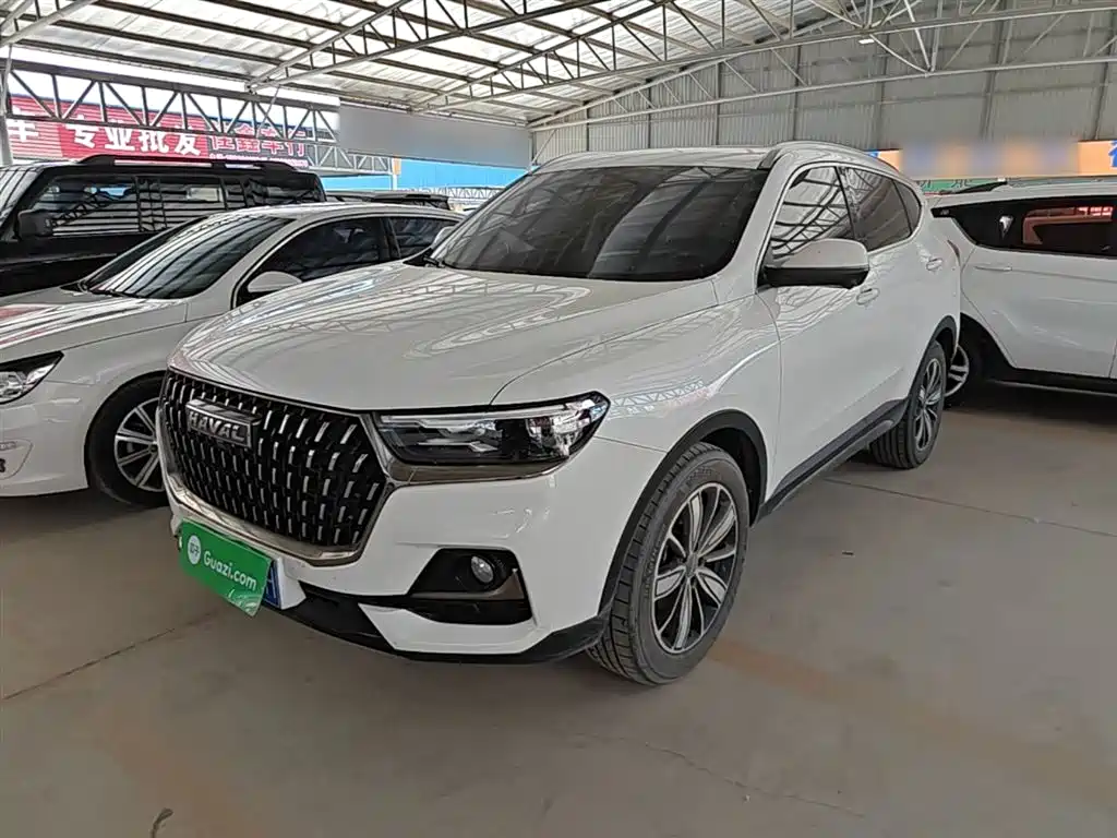 Haval H6 2023 National Trend Edition 1.5T Automatic Champion