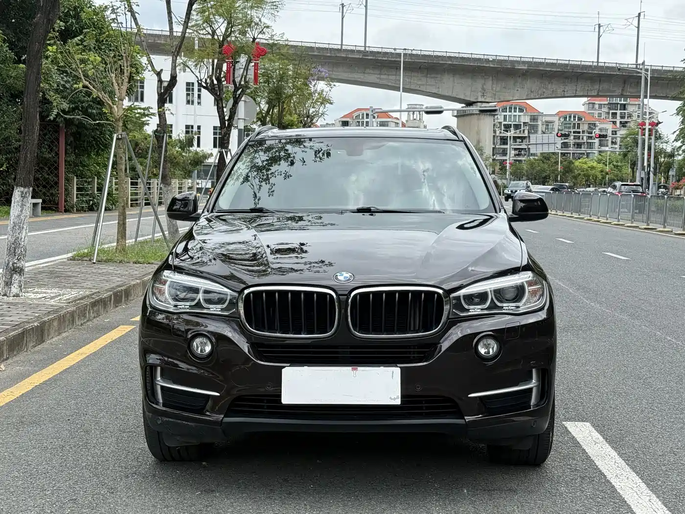 BMW X5 (Import) 2014 xDrive35i Elegance фото 2