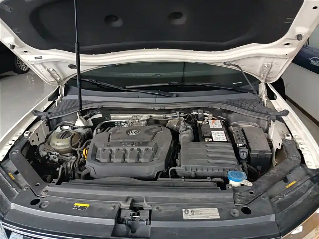 Volkswagen Tiguan L 2019 330TSI Automatic 2WD Panorama Comfort Edition China VI фото 16
