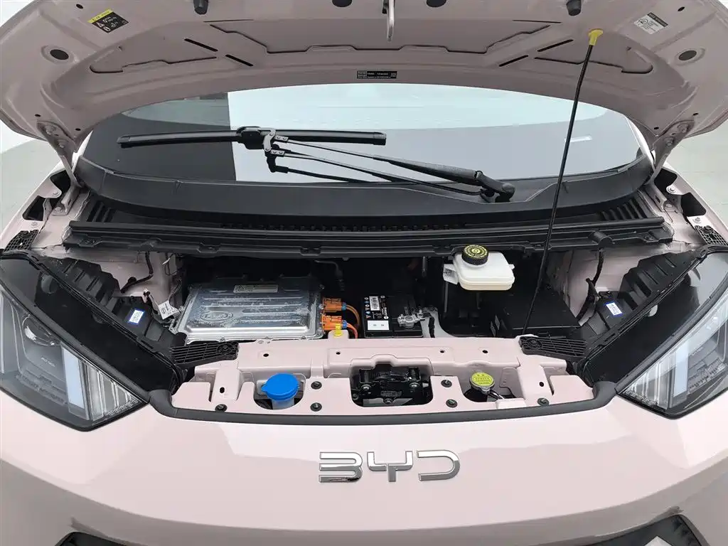 BYD Seagull 2025 305km Vitality фото 6