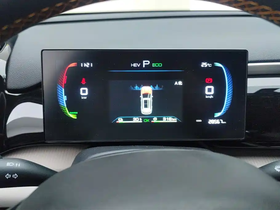 BYD Song Pro New Energy 2024 Glory Edition DM-i 71KM Pilot фото 14