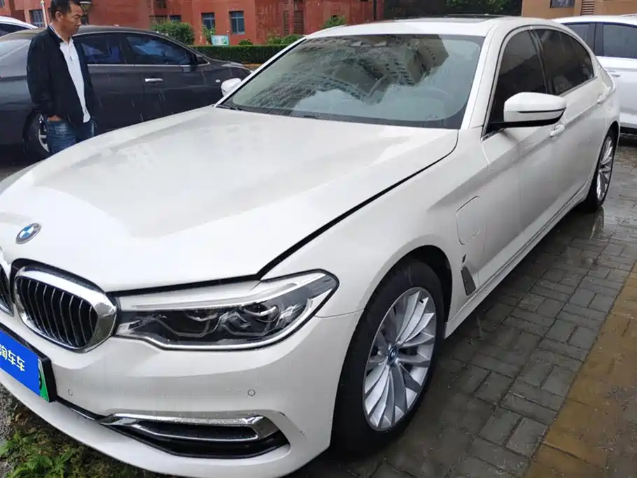 BMW 5 Series New Energy 2019 530Le Luxury Package