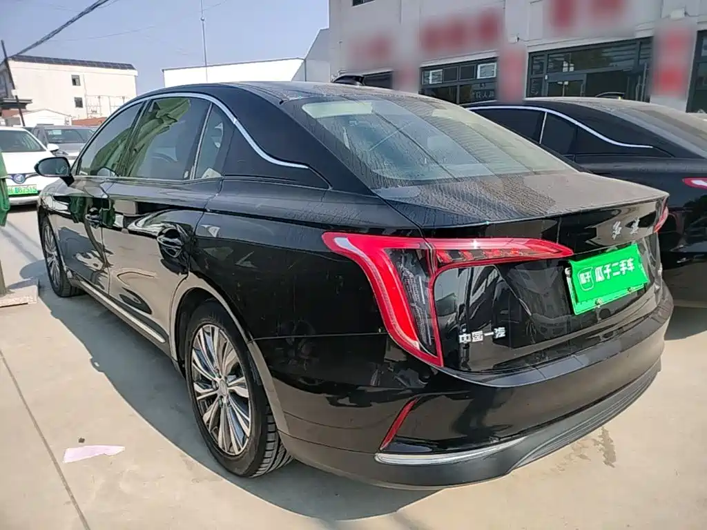 صورة 5 - Hongqi E-QM5