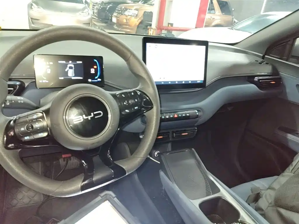 BYD Seagull 2024 Glory Edition 305km Vitality Edition фото 10