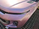Фото 24 - Geely ICON