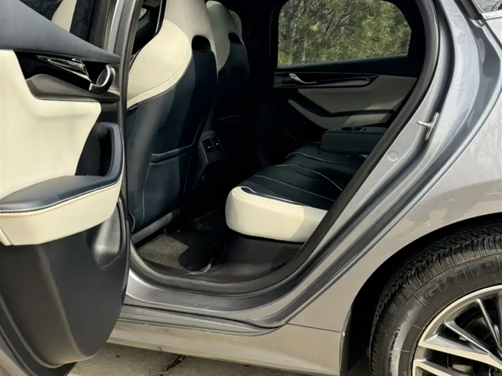 BYD Qin PLUS 2021 DM-i 55KM Flagship фото 11