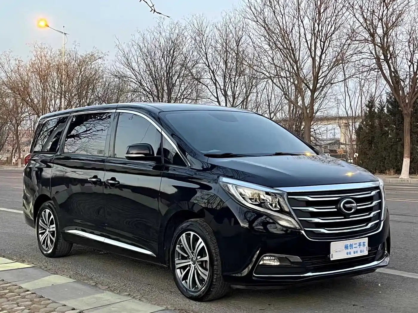 GAC Trumpchi Trumpchi M8 2018 320T Premium Edition фото 3
