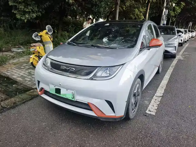 BYD Dolphin 2022