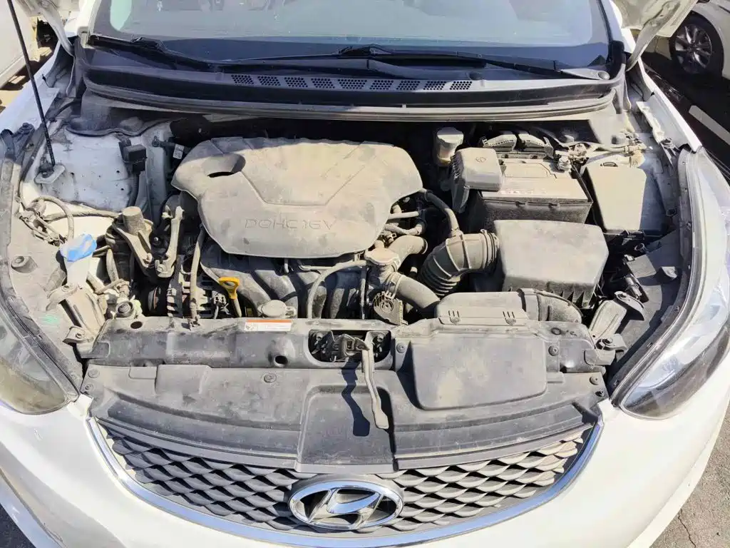 Hyundai Langdong 2017 2016 1.6L Automatic Premium Edition