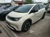 Photo 1 - BYD Dolphin
