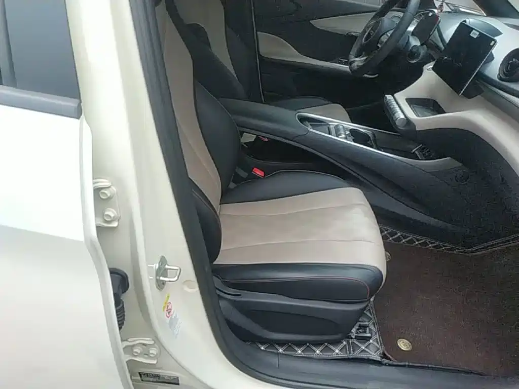 Photo 25 - BYD Dolphin