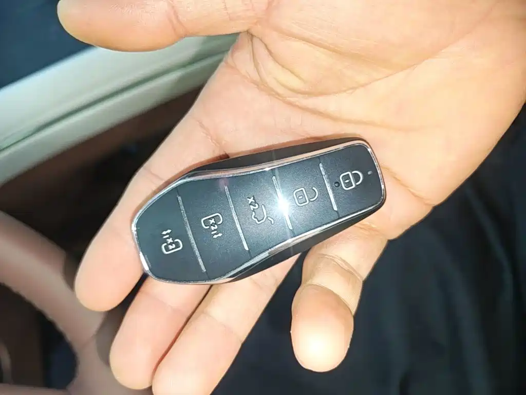 BYD Xia 2025 2025 DM-i 1.5T 180km Surpass Edition